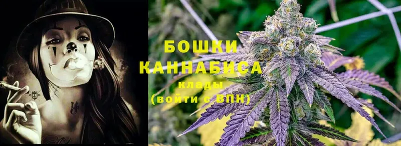 Каннабис OG Kush  наркотики  Короча 